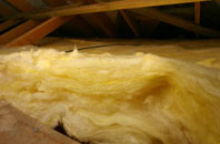Duisky pitch roof insulation