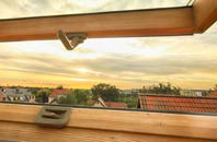 rated Duisky roof window companies